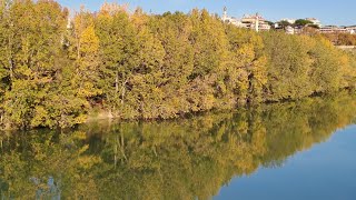 Autumn 's Magical  colors |beautiful  Scenery