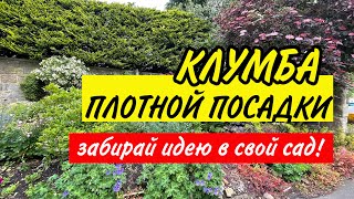 🌾КЛУМБА плотной посадки. Красивое сочетание для вдохновения.