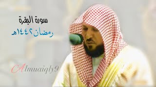 ما تيسّر من سورة البقرة | ٢٤٩-٢٧٤ | لفضيلة الشيخ د. ماهر المعيقلي | تراويح ليلة ٣ رمضان ١٤٤٢هـ