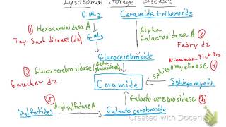 Lysosomal Storage Diseases