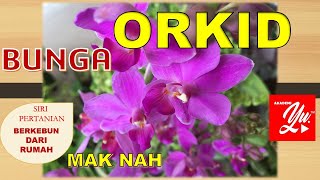 Bunga Orkid | Berkebun Dari Rumah