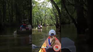 Paddling to Cypress Spring on Holmes Creek in Vernon Florida