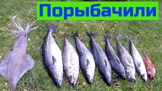 Порыбачили в Норвегии