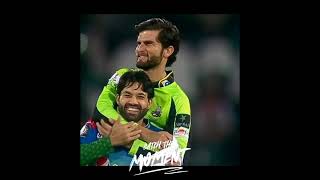 Lahore qalandars trending shorts #pslshorts #youtubeshorts #shorts