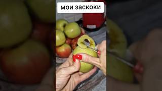 Заскоки