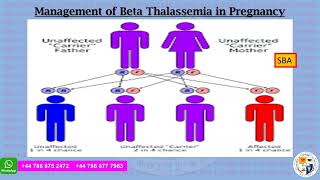 RFATUTORS  GTGs VIDEO SUMMARIES  GTG 66B MANAGEMENT OF BETA THALASSEMIA I