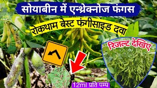 सोयाबीन में एन्थ्रेक्नोज फंगस की रोकथाम🌱Soybean me Anthracnose fungus ki roktham🦠soybean ki kheti