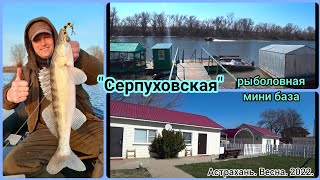 Астрахань. Рыболовная база СЕРПУХОВСКАЯ.  16.03.2022 г.