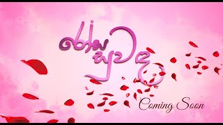 සෙනෙහසේ රෝස සුවඳ  | Rose scent of love | Coming soon