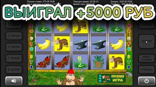 Выиграл +5000 руб. в игровой автомат Crazy Monkey (Крези Манки) | Заносы в слоты Обезьянки, Бананы