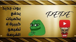 بوت  جديد  عملة  pepe  يدفع  كميات  كبيرة  والسحب  علا  باينانس