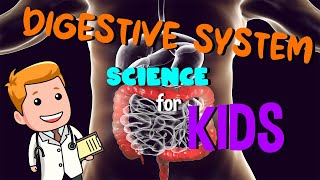 Digestive System | Science for Kids