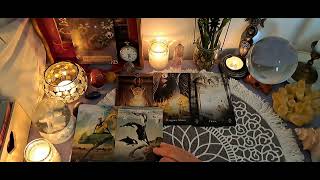 ❤‍🔥Da li vaša osoba želi kontakt sa vama?🔮Tarot citanje🔮