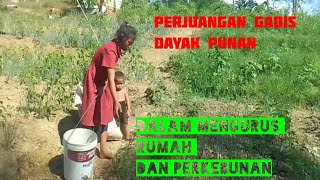 KEGIATAN HARIAN ADEK NANI // adek nani punya kebun daun bawang sendiri 3 pematang