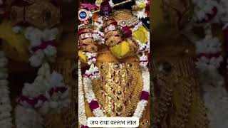 मेरे श्याम #trending #राधावल्लभ #viral #vrindavan #new #post #uttarpradesh #yutubeshorts #india #up