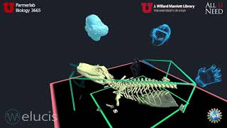 Virtual Reality Project Brings Dissection Lab to U of U Students