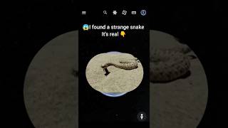 😱I found a strange snake it's real 👆on Google Earth and Google Maps #shorts @earthjourney3m