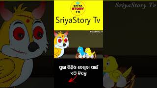 Bhuta ra pila chadhei || odia gapa || tiki chadhei gapa || odia cartoon || odia moral story