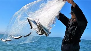 How to INSTANTLY Freeze Fish Rock Hard!!