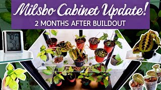 Two Month IKEA Greenhouse Cabinet Update and Tour | Houseplant Tour + Houseplants Growth