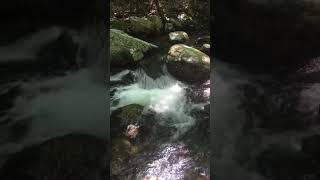 nature break water sounds💙✨ #asmr #nature #outdoors #relax #water #naturesounds #stressrelief