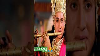 ହରେ କୃଷ୍ଣ #krishna #shortsfeed #shortvideo #shortsvideo #shorts #short #viralshort #viralshorts