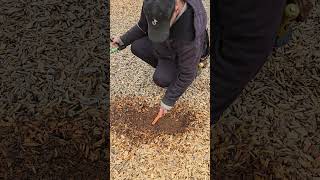 November 11, 2024 Metal detecting