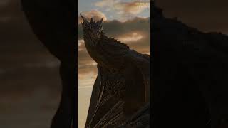 Caraxes and Drogon (dracarys.edits)