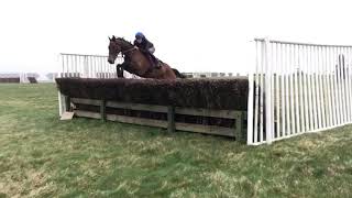 Peur De Rien schooling over fences