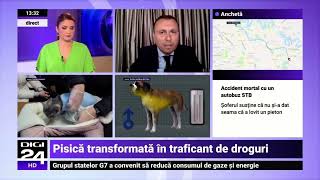 Digi 24 Tv, despre folosirea animalelor de companie la traficul de droguri, Catalin Tone