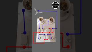 5 switch 2 socket 2 bulb holder 1 fan regulator connection wiring in board | electric wiring #shorts