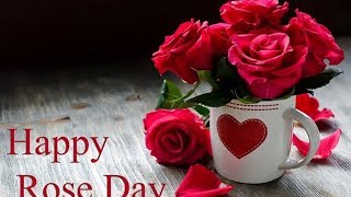 Happy Rose Day  | Rose Day WhatsApp Status | Valentines Special Rose Day 2019 |