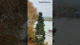 #shorts #youtubeshort #snehalpipariya #snehalpipariya #viral #kashmir #youtubeshorts #shortvideo