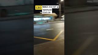 МАЗ 203.947 б. 5475 маршрут 130 и Трольза 5265. 08 б. 1043 @petersburgtransport921 #shorts #топ