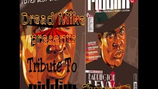 Tribute To Riddim Magazine Chapter 2