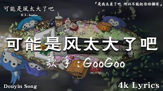 Goo Goo I 可能是風太大了吧『是我太差了吧 所以不能把你給擁有』Official Lyrics Video【高音質 動態歌詞/PinyinLyrics】