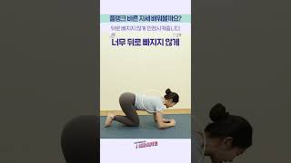 23년도 갓생 운동으로 시작해볼까요? 💜 코어 운동의 기본!  플랭크 자세 😀│플.스(Play Stretching)