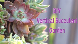 DIY Vertical Succulent Garden | Spring Outdoor Project