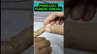 cara kembalikan fungsi ginjal #fypシ