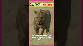 Did You Know Random Animal Facts? | Wonderful Facts About Animals | Motivational facts