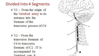 Vertebral Artery By Dr. Sanjay Kumar Soni
