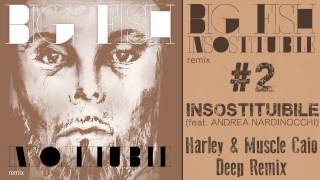 BIG FISH - Insostituibile (feat. Andrea Nardinocchi) [Harley & Muscle Caio Deep Remix]