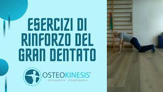 Esercizi di rinforzo del Gran Dentato