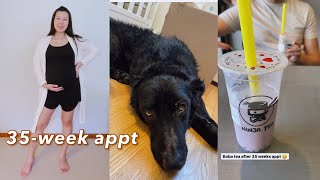 35-week appt & baby sonogram, Pathos seeing the vet | pregnancy vlog