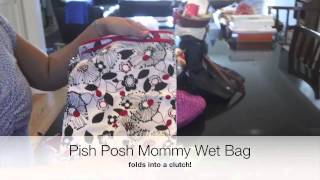 Pish Posh Mommy Carry All and Wet Bag Review