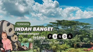 TERNYATA INDAH BGT PEMANDANGAN di ISTANA PANDA TAMAN SAFARI INDONESIA