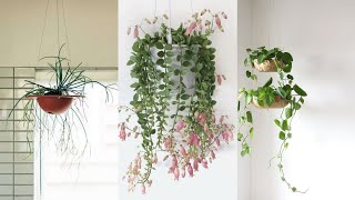 Outstanding Hanging Plants Design #homedecor #garderning