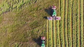 Nicholas Foley Agricultural services