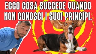 Ecco cosa succede quando non conosci i suoi principi.