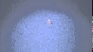 ORB UFO'S OVER SHERMAN OAKS CALIFORNIA 6-29-14 PART-2